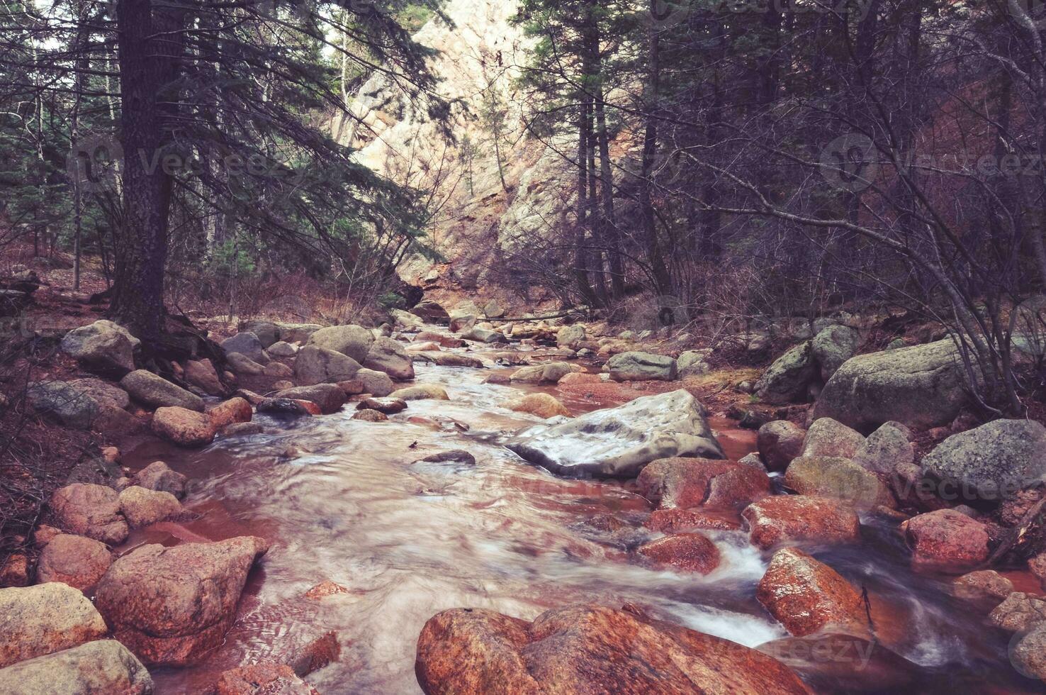 szenisch Colorado Wald Fluss foto