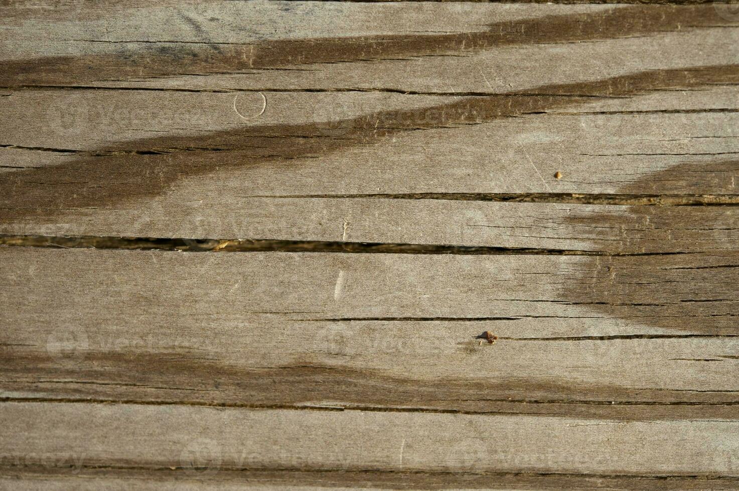 rissige Holzstruktur foto