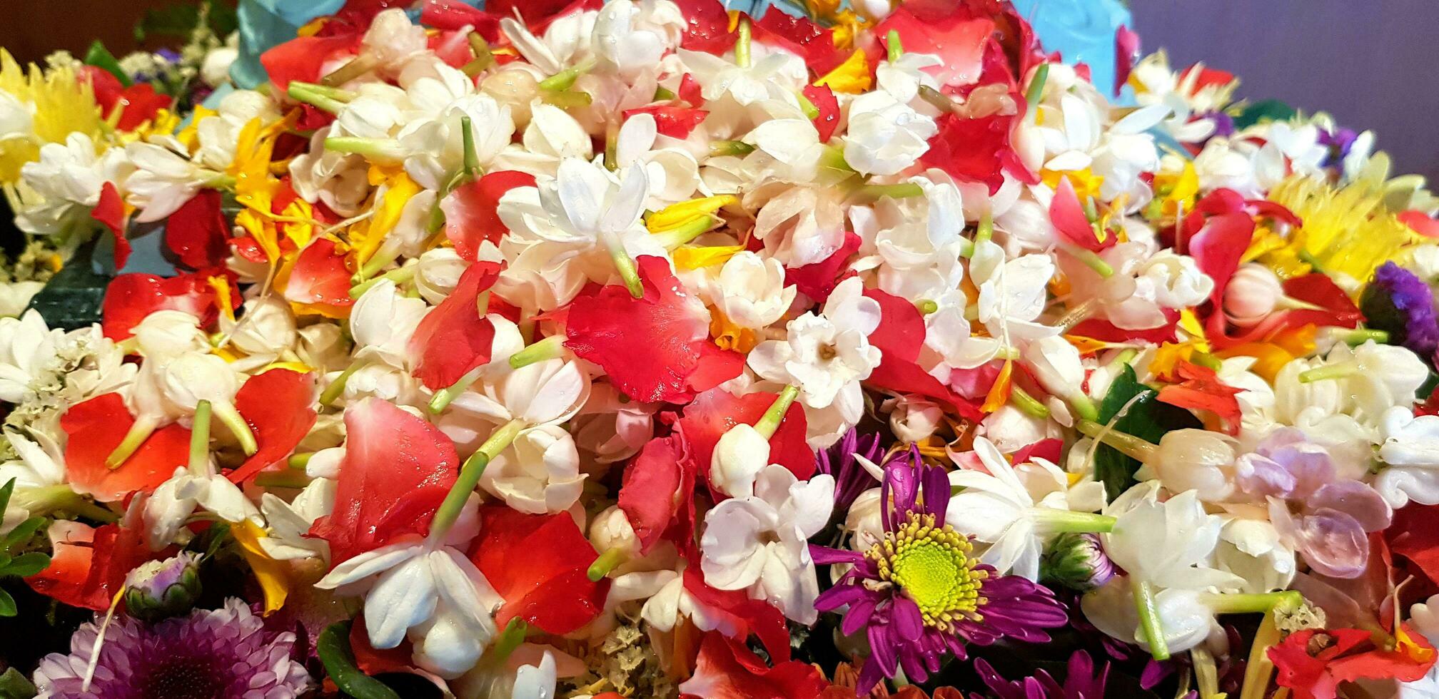 schön Blume mit Jasmin, Rose lila Lilly und Wasser fallen auf ihnen. Feier und Thailand Kultur zum Songkran Festival foto