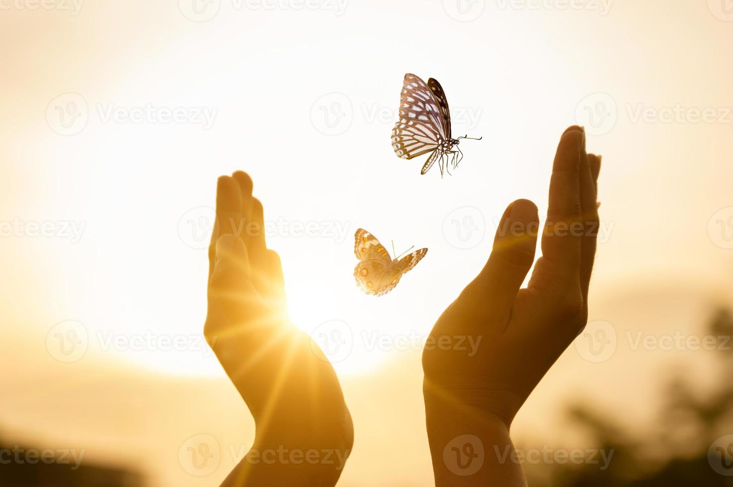 Mädchen befreit den Schmetterling vom Moment foto