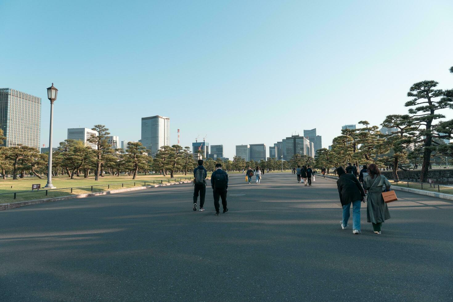 Tokio, Japan - - April 9, 2023 Kiefer Baum im kokyo gaien National Garten foto