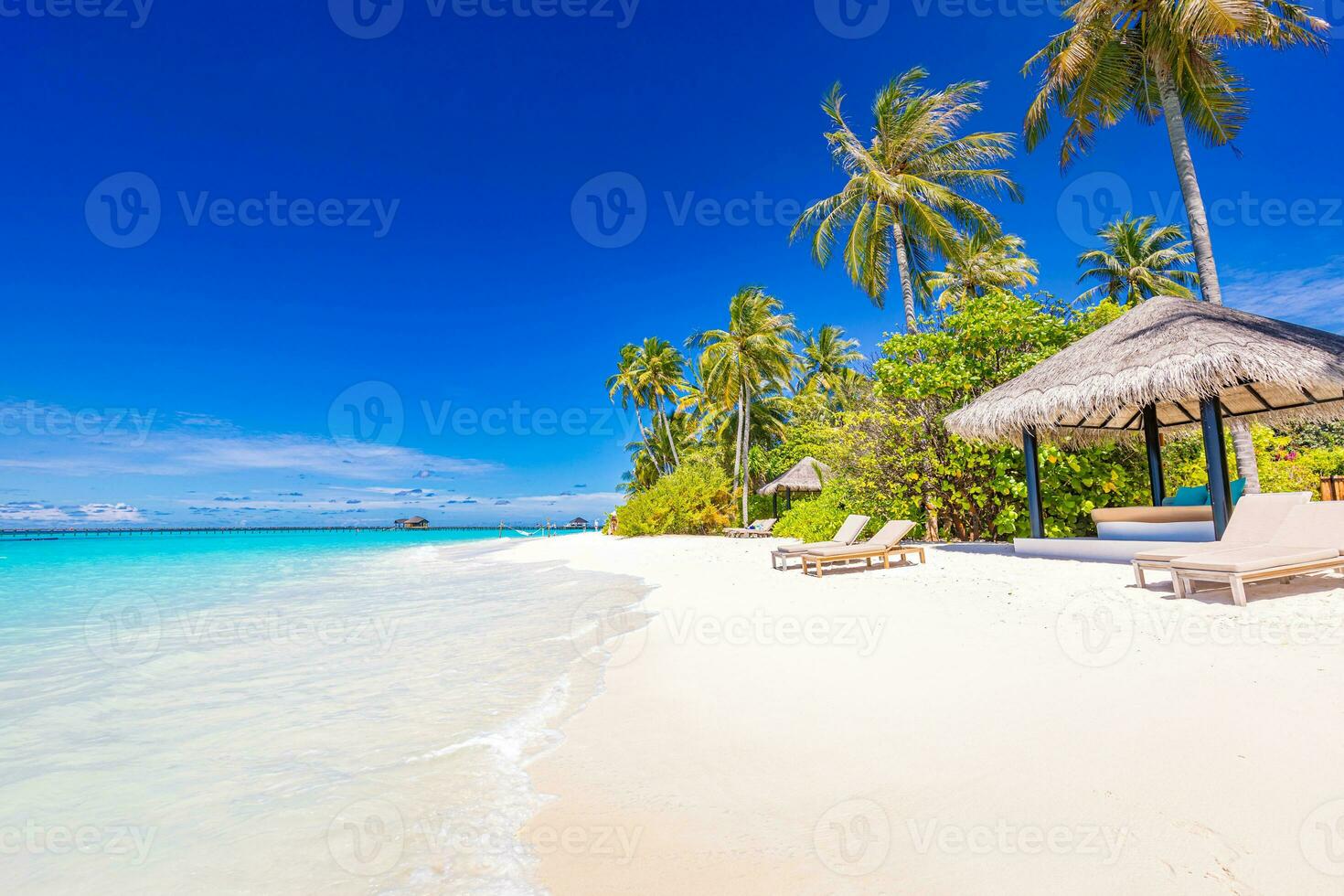 Strand Landschaft im schön Sonnenlicht. exotisch Natur wie tropisch Landschaft mit Palmen und friedlich Blau Meer. natürlich Farben und Licht, Sommer- Natur Hintergrund Konzept, inspirierend und motivierend foto