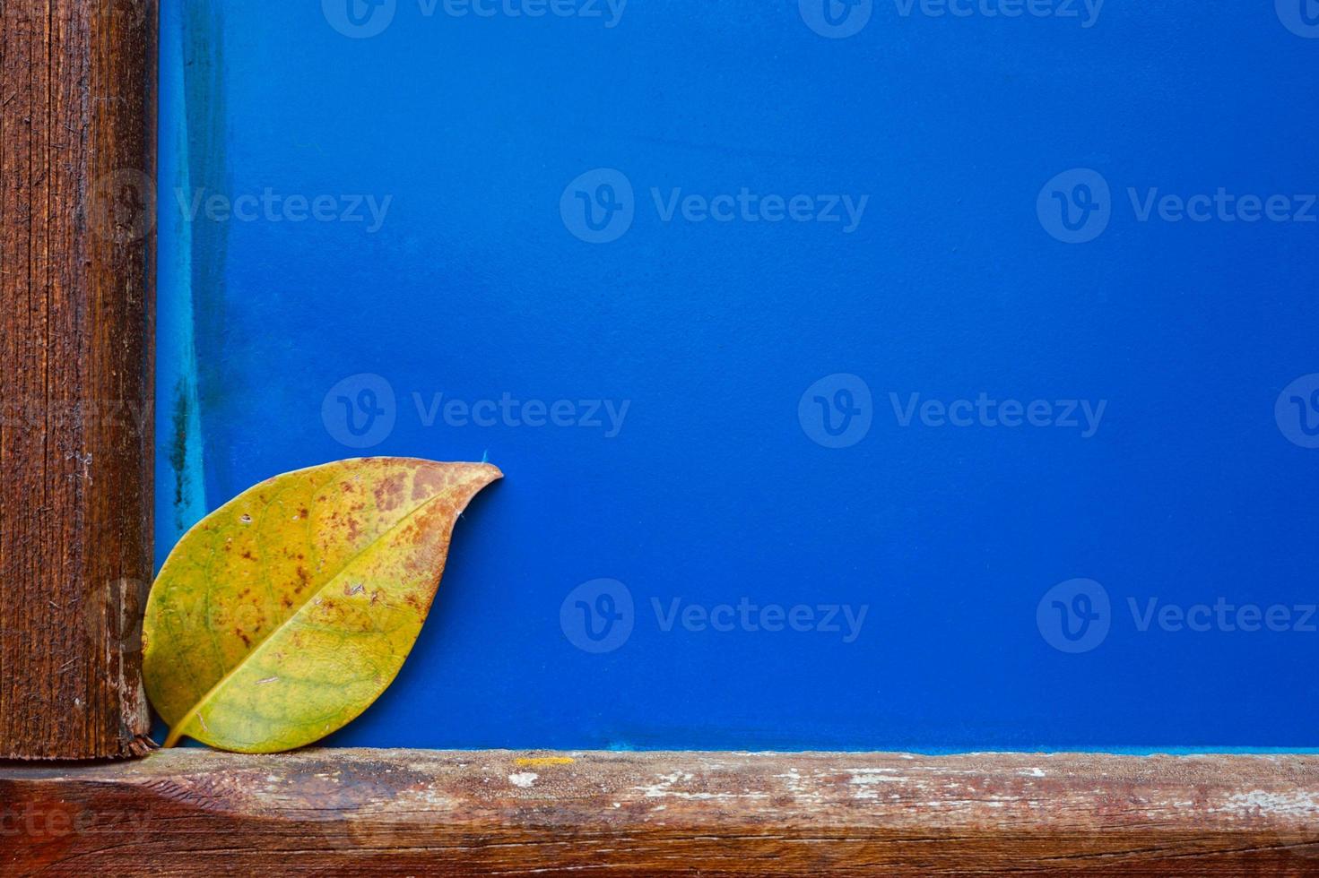 gelbes Blatt in der Natur in der Herbstsaison foto