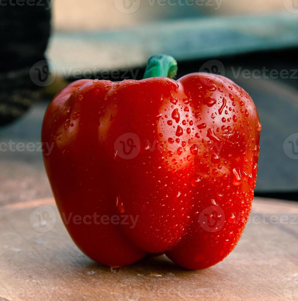 eine frische rote Paprika nah oben auf hölzernem Hintergrund foto