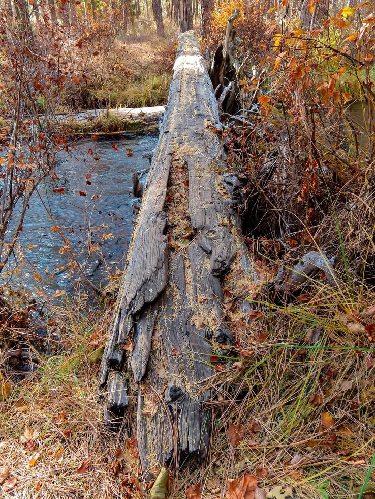 Holzkreuzung auf einem primitiven Campingplatz am Canyon Creek in der Nähe von Camp Sherman oder foto