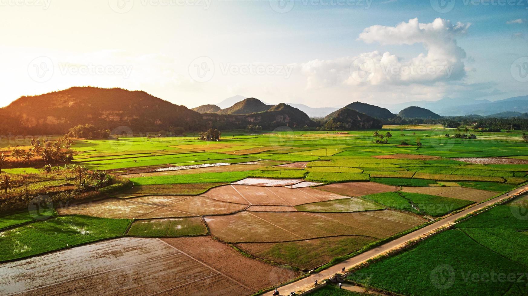 Luftaufnahme des Reisfeldes mit Kalksteinhügel foto