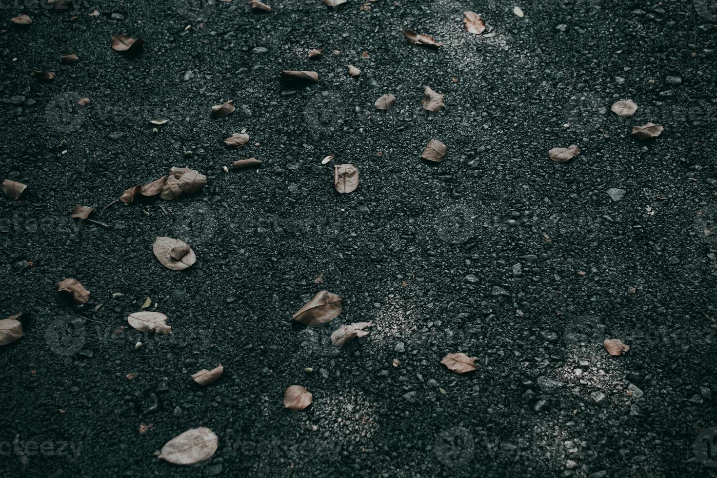 das trockene Blatt auf Asphaltstraßenbeschaffenheit foto