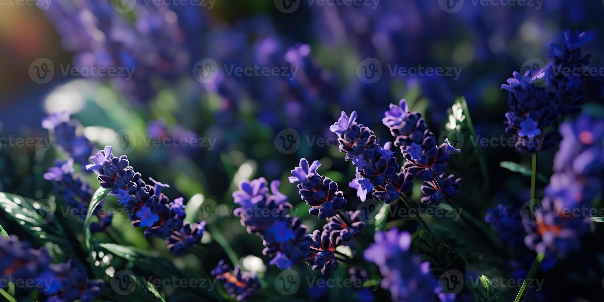 ai generiert. ai generativ. Lavendel Pflanze Blume Makro Schuss Foto Illustration. Grafik Kunst
