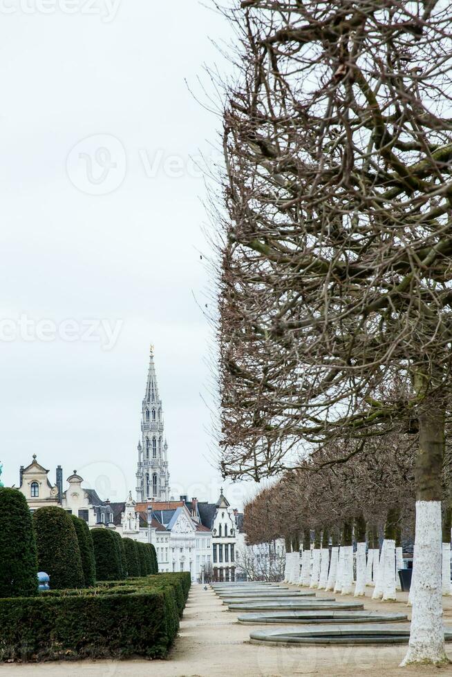 montieren von das Kunst auf ein Einfrieren Winter Tag gerade Vor Frühling im Brüssel foto