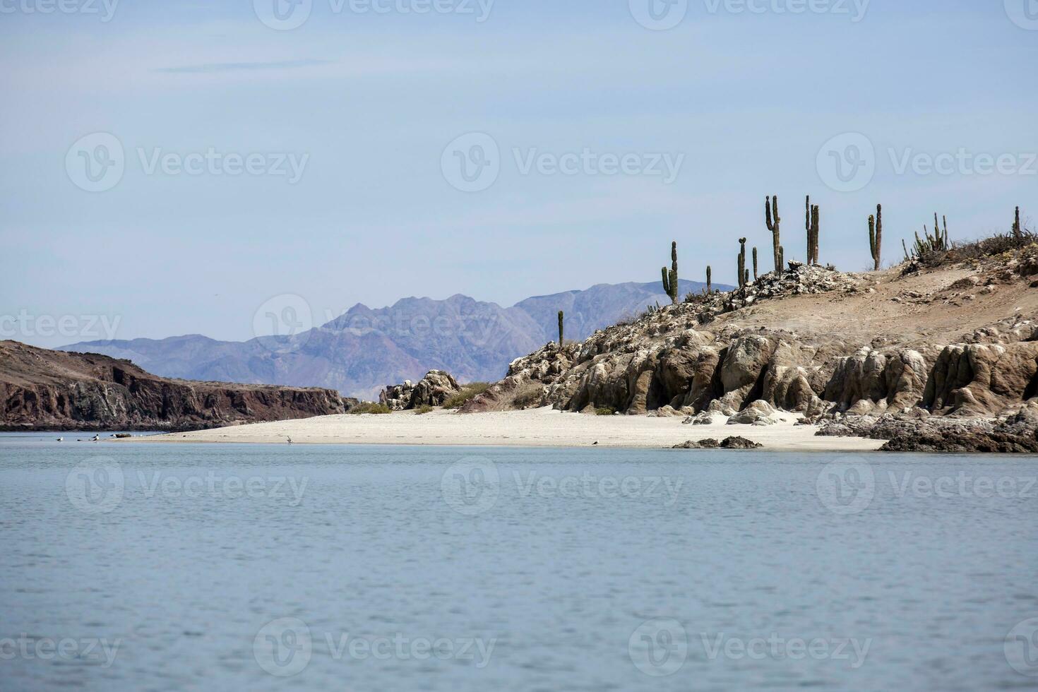 Meer, Wüste und Strand beim Bucht von das Engel - - Baja Kalifornien foto