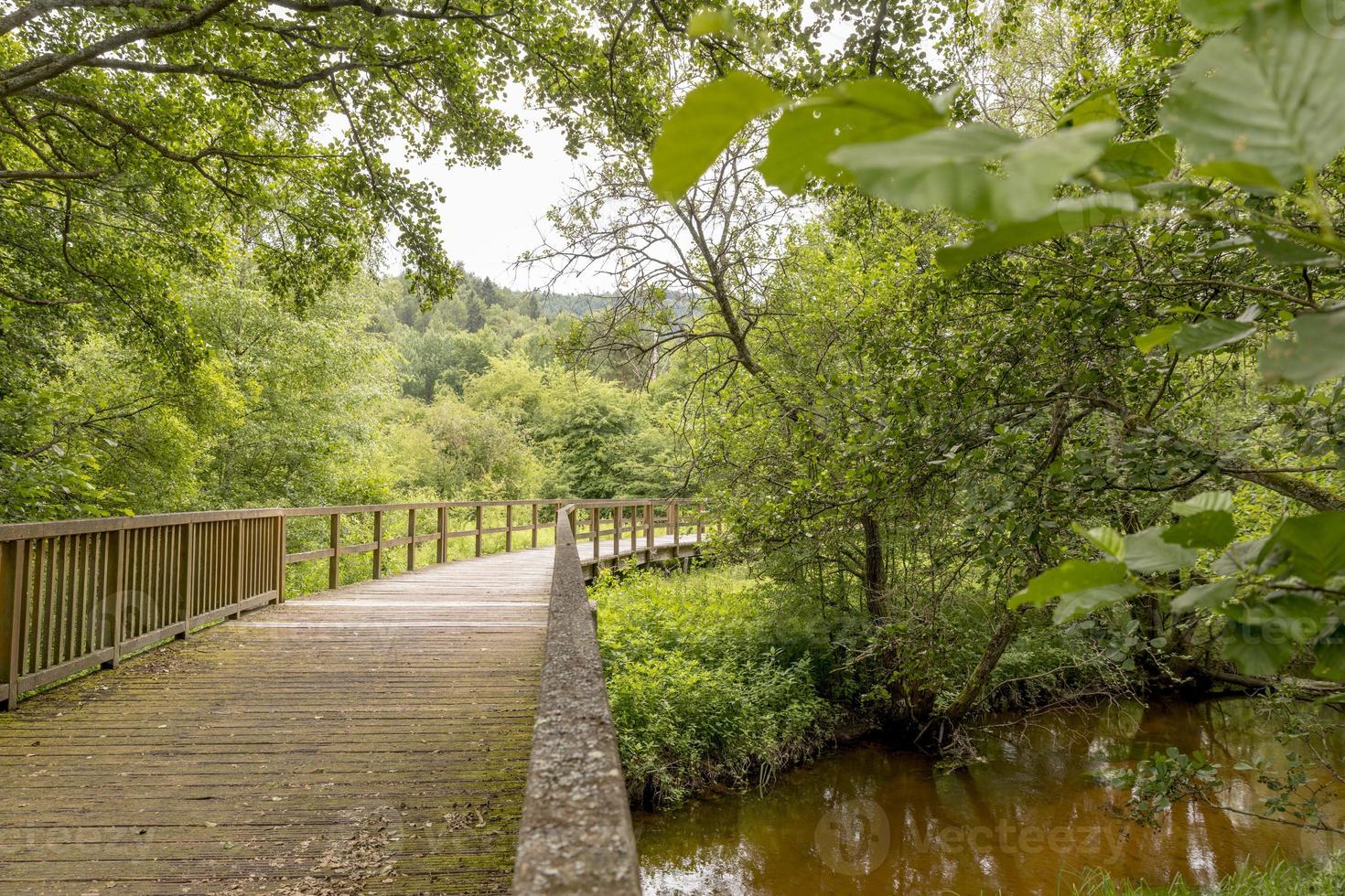 Holzbrücke über ein Feld mit Wiese und bewaldeten Hügeln foto