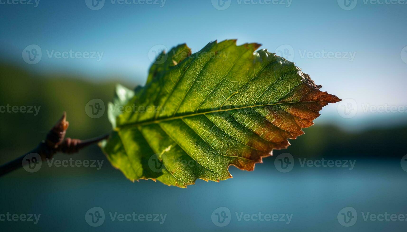 Herbst Schönheit im Natur beschwingt Blätter reflektieren auf still Wasser generiert durch ai foto