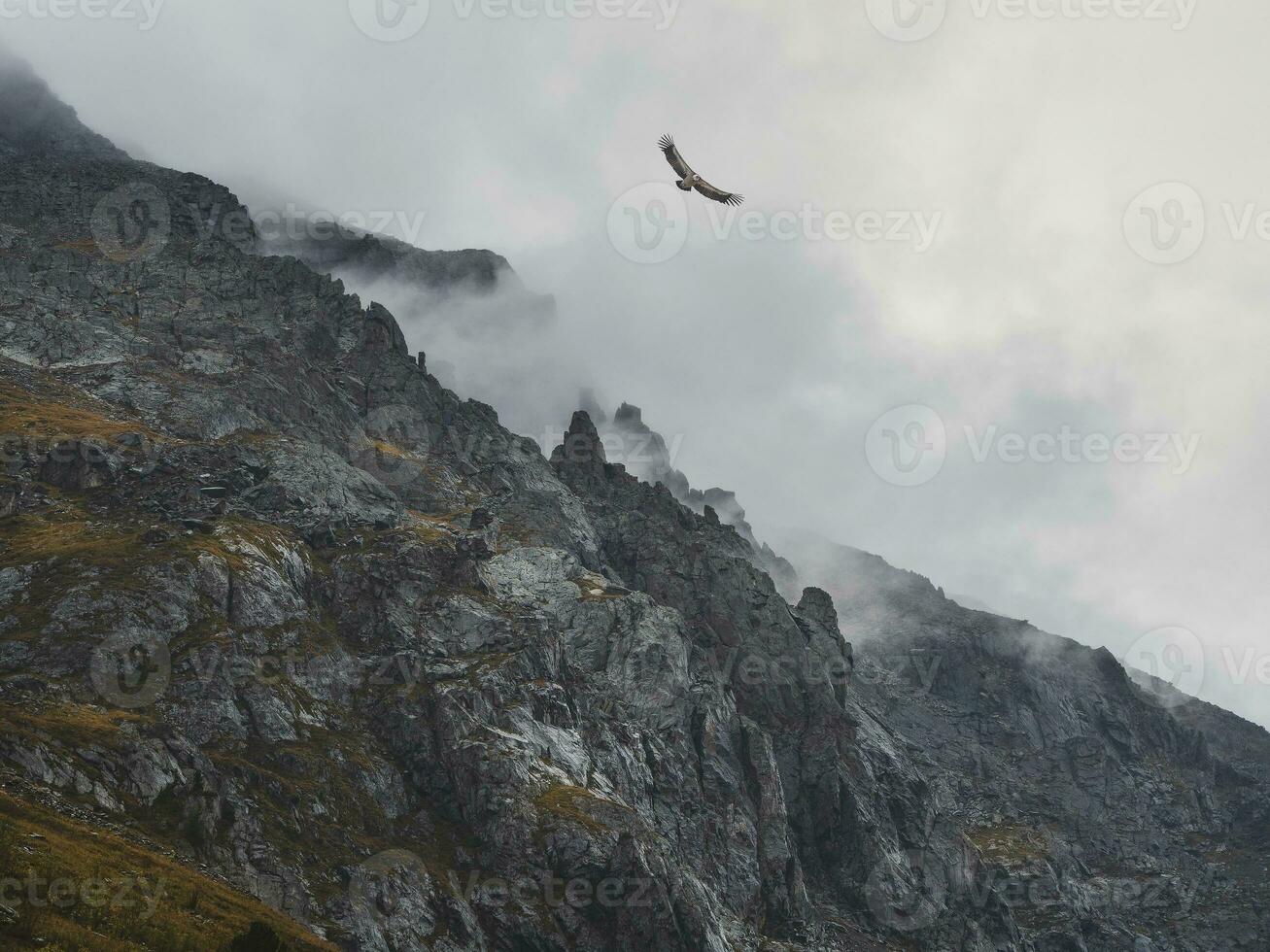 Grusel Berg Schatten. dramatisch Nebel unter Riese felsig Berge. gespenstisch atmosphärisch Aussicht zu groß Cliff. niedrig Wolken und schön Rockies. minimalistisch Landschaft mysteriös Ort. foto