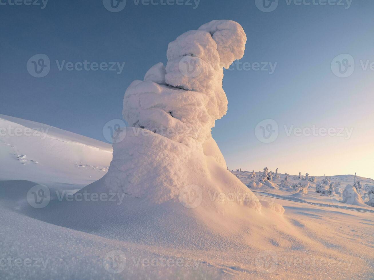 magisch bizarr Silhouetten von Tanne Baum sind verputzt mit Schnee. Arktis hart Natur. mystisch Fee Geschichte von das Winter Wald. Schnee bedeckt Weihnachten Tanne Bäume auf Berghang. foto