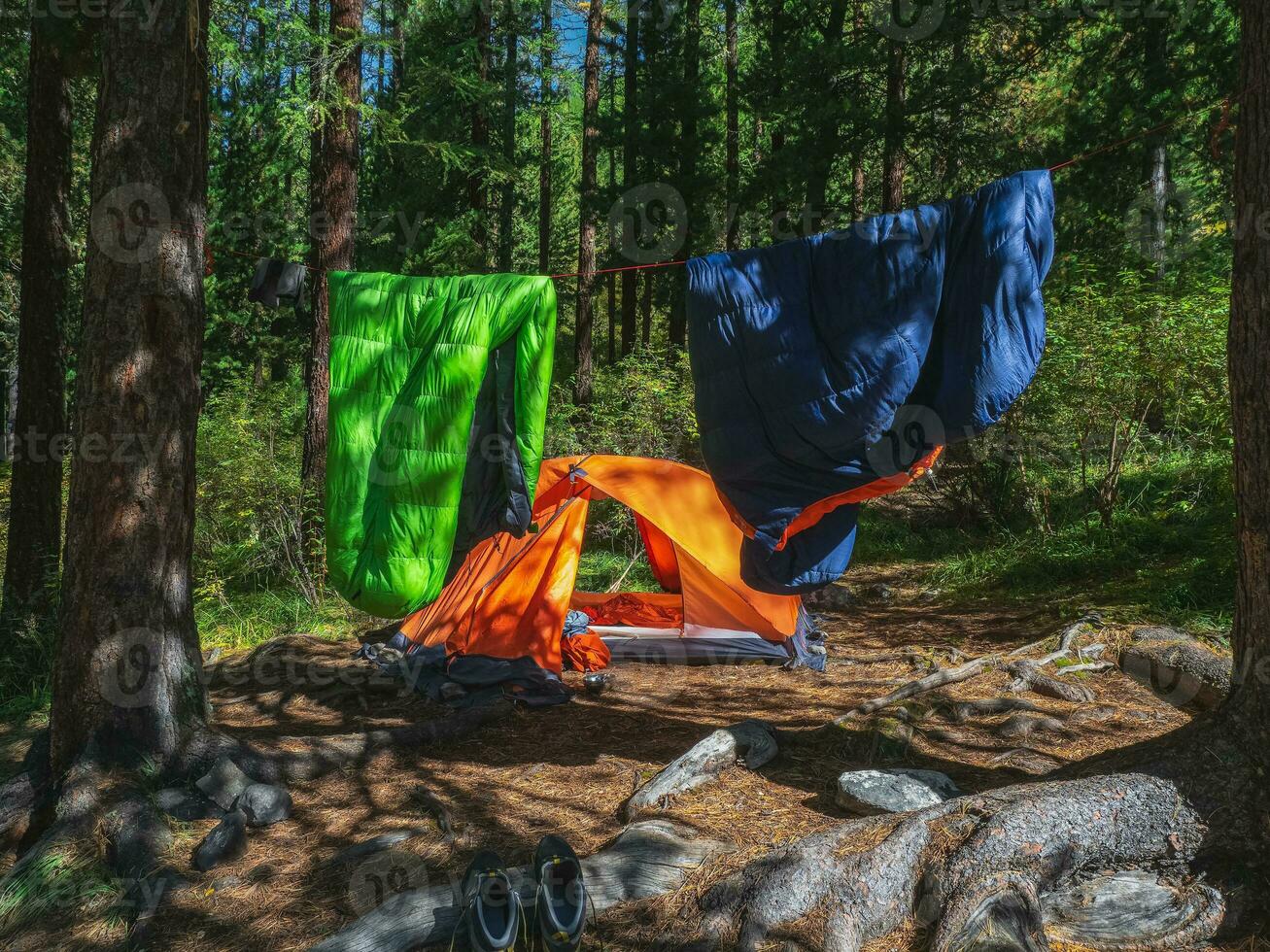 Camping im das Wald. Schlafen Tasche auf ein Seil zum Trocknen und Lüftung. Orange Zelt im ein Nadelbaum Berg Wald. Frieden und Entspannung im Natur. foto