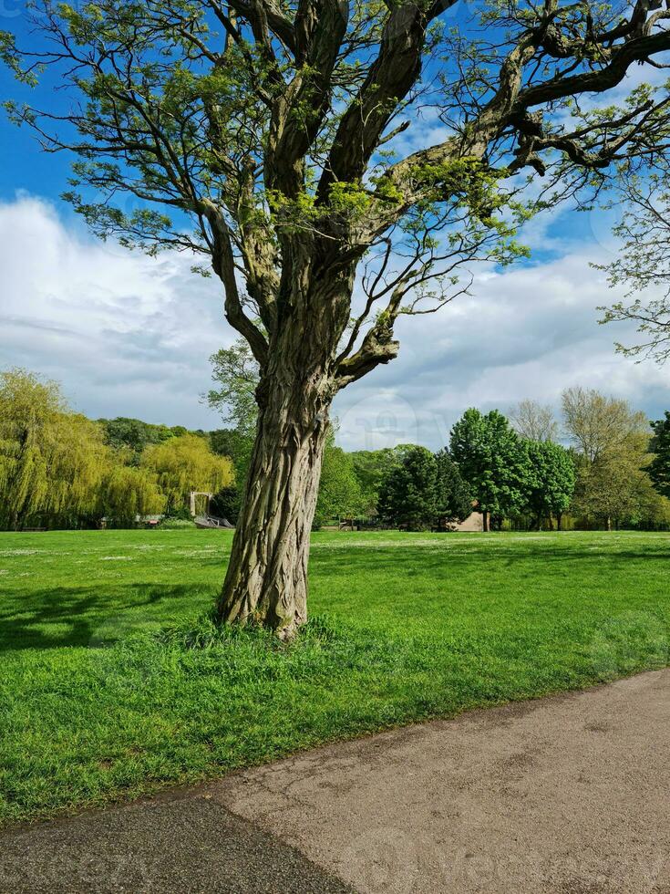 schön Aussicht von ein lokal Öffentlichkeit Park von England Vereinigtes Königreich foto