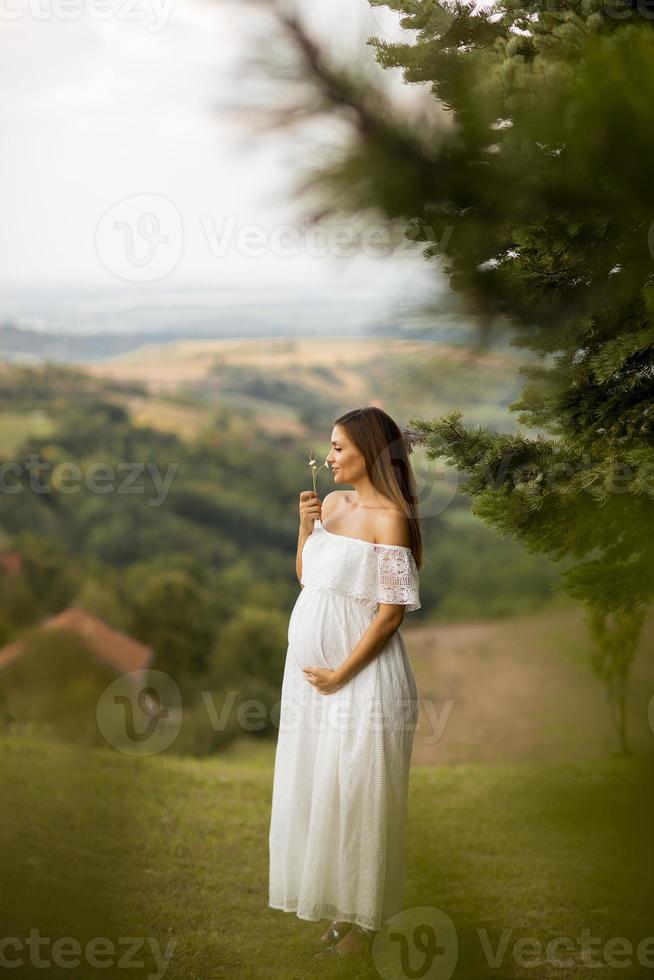 junge schwangere Frau im Wald foto