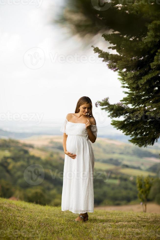 junge schwangere Frau im Wald foto