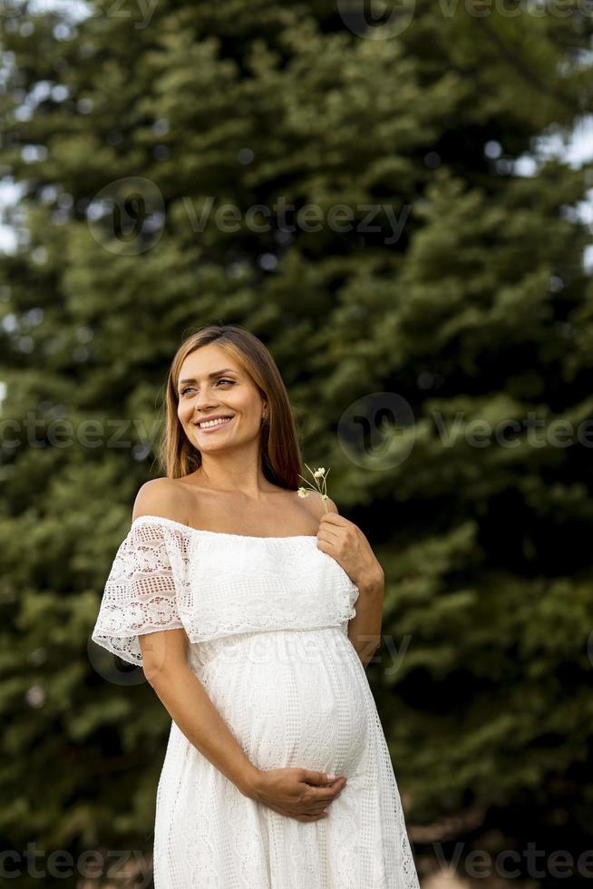 junge schwangere Frau im Wald foto