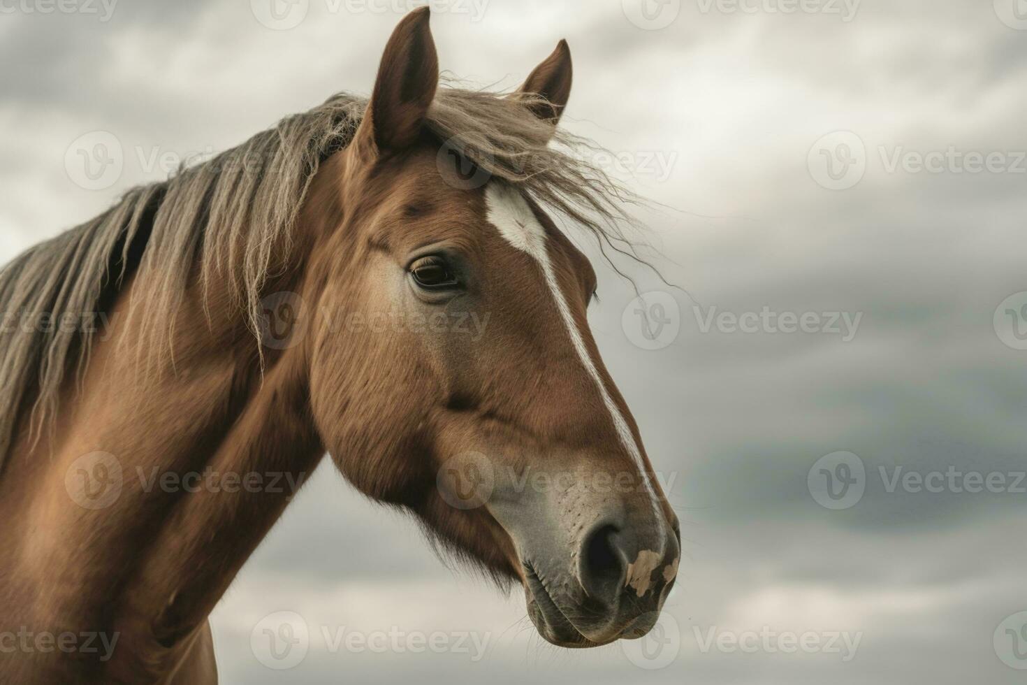 eindringen Pferd Blick gegen wolkig Himmel, gerahmt durch wild Mähne ai generiert foto