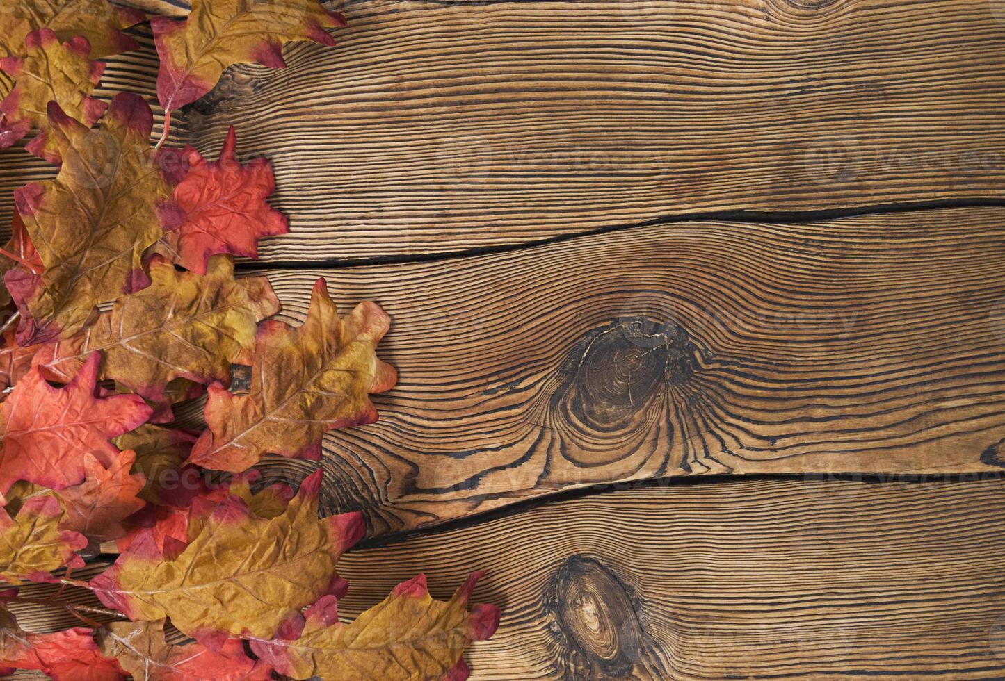 bunte Herbstblätter auf einem braunen hölzernen Hintergrund foto