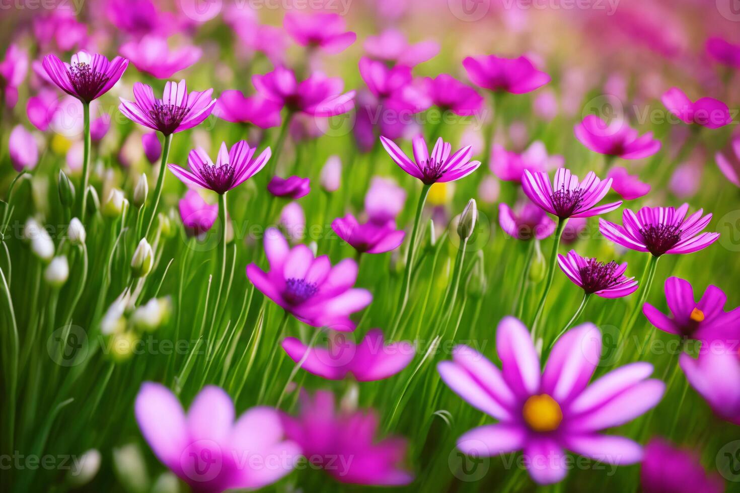 Erfahrung das Schönheit von Frühling mit diese atemberaubend Bild von Wildblumen im voll blühen präsentieren das beschwingt Farben und zart Einzelheiten von Naturen blühen Jahreszeit. ai generiert. foto