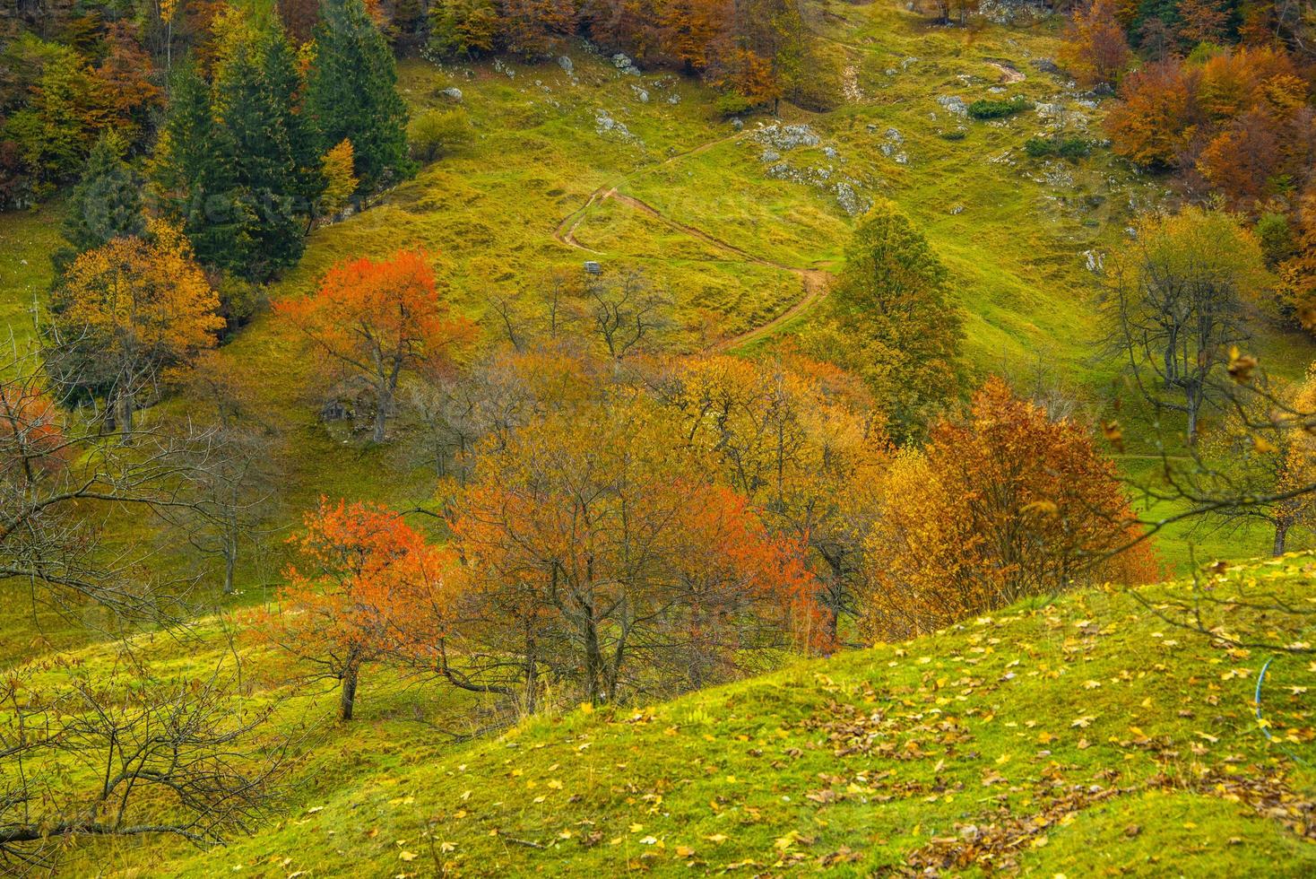 Herbstfarben in den Hügeln foto