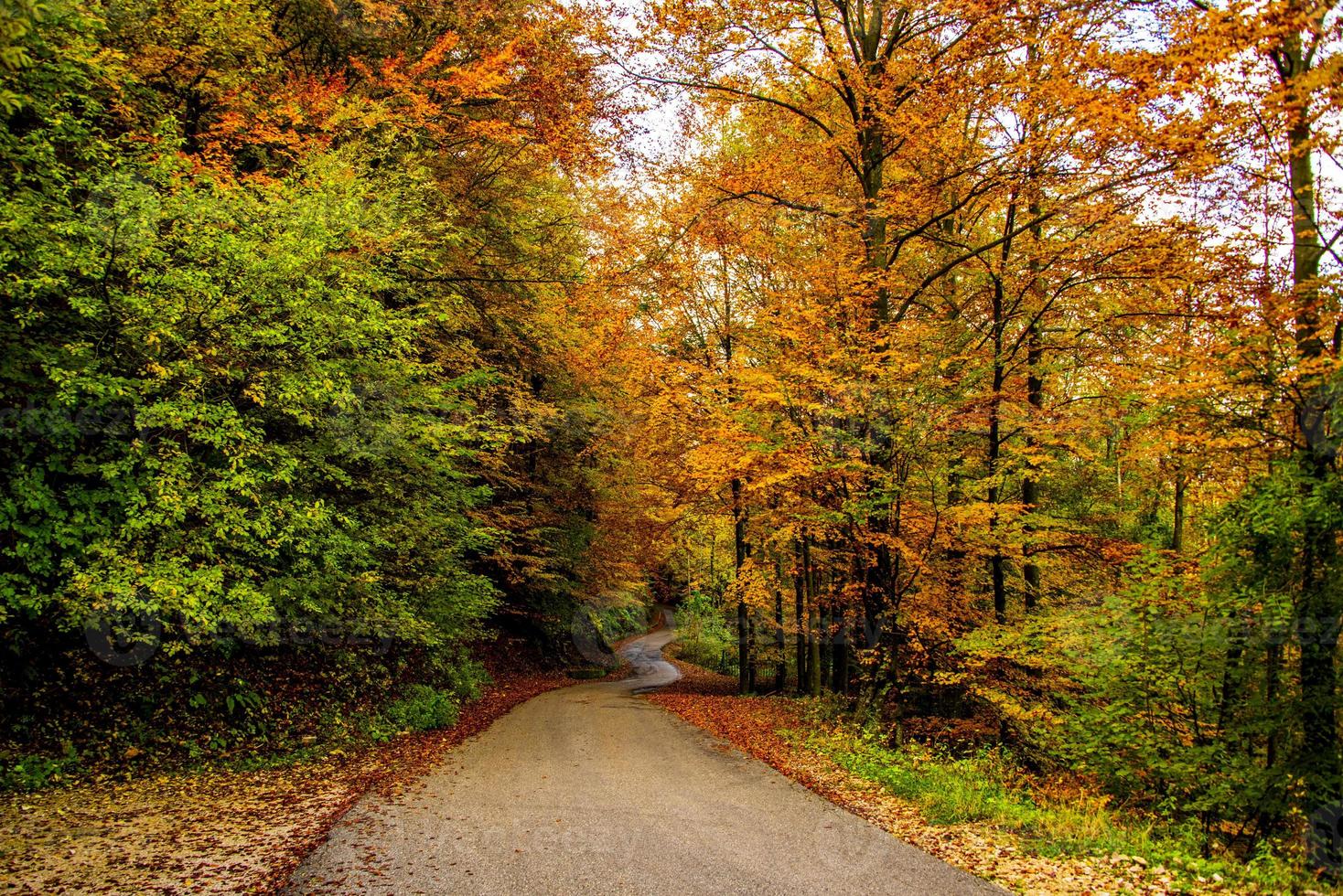 Asphalt und Herbst foto