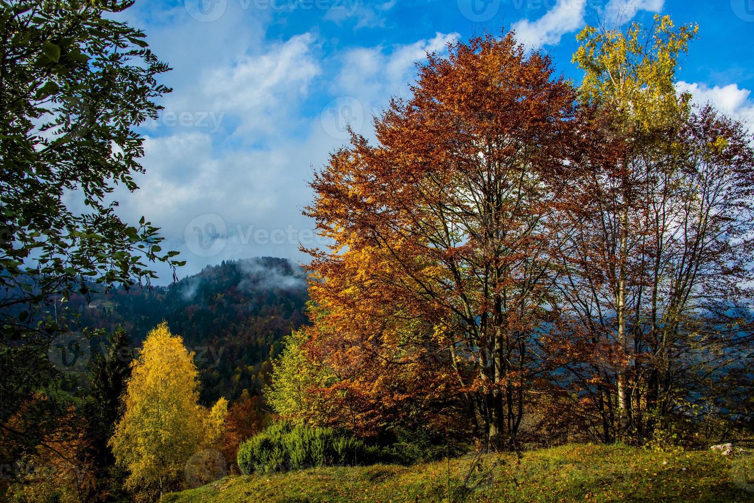 alle Schattierungen des Herbstes eins foto