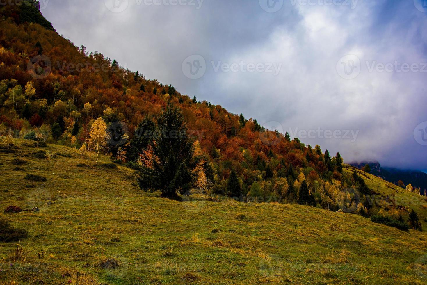 Herbst Variation der Farbe der Blätter ein foto