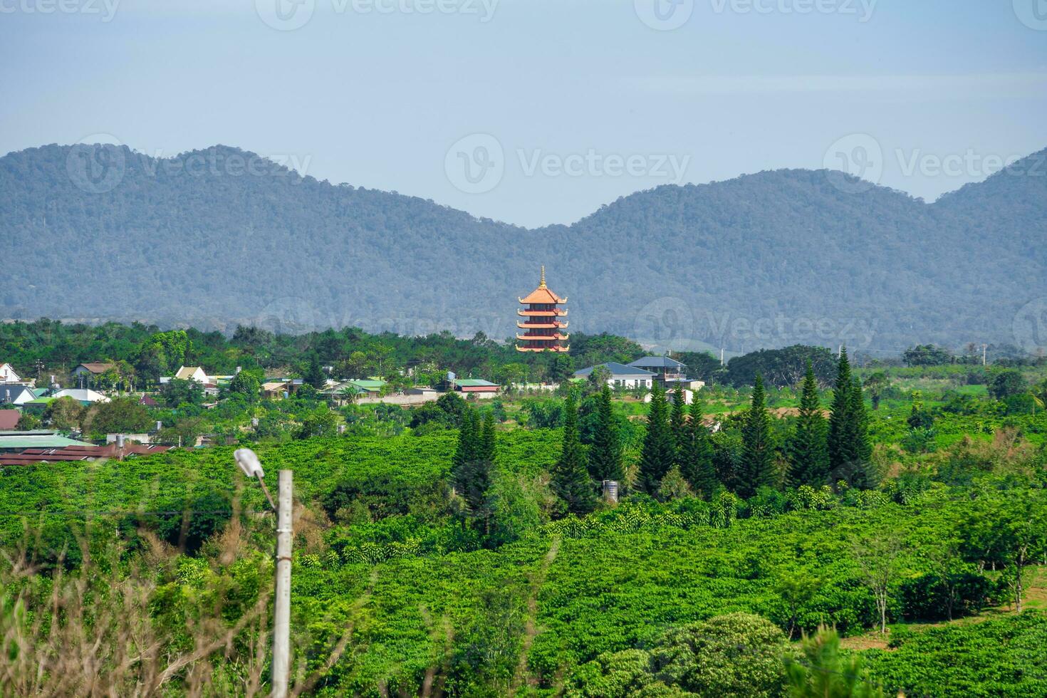 brillant Blau Himmel Aussicht von ein Kaffee Plantage im bao loc, Vietnam foto