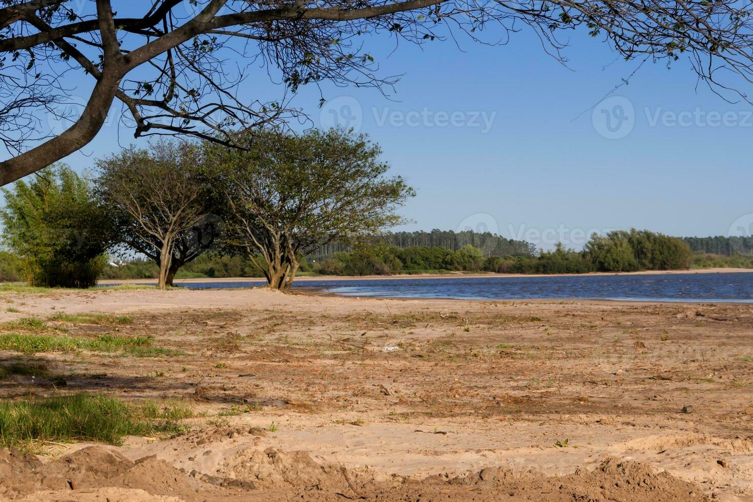 Sommer- Landschaft auf das Banken von das Fluss im das Stadt von Föderation Provinz von eintreten rios Argentinien foto