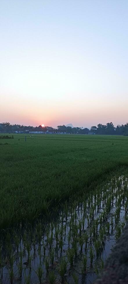 das Morgen Sonne werden erhebt euch foto