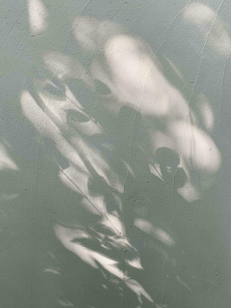 Blätter Schatten Hintergrund auf Beton Mauer Textur, Blätter Baum Geäst Schatten mit Sonnenlicht foto