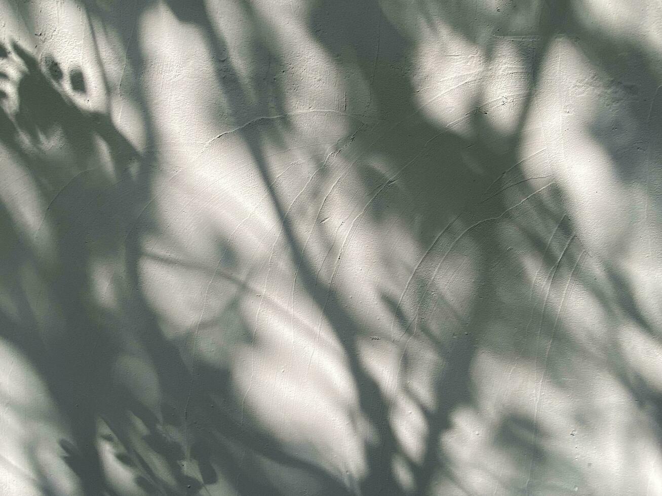 Blätter Schatten Hintergrund auf Beton Mauer Textur, Blätter Baum Geäst Schatten mit Sonnenlicht foto