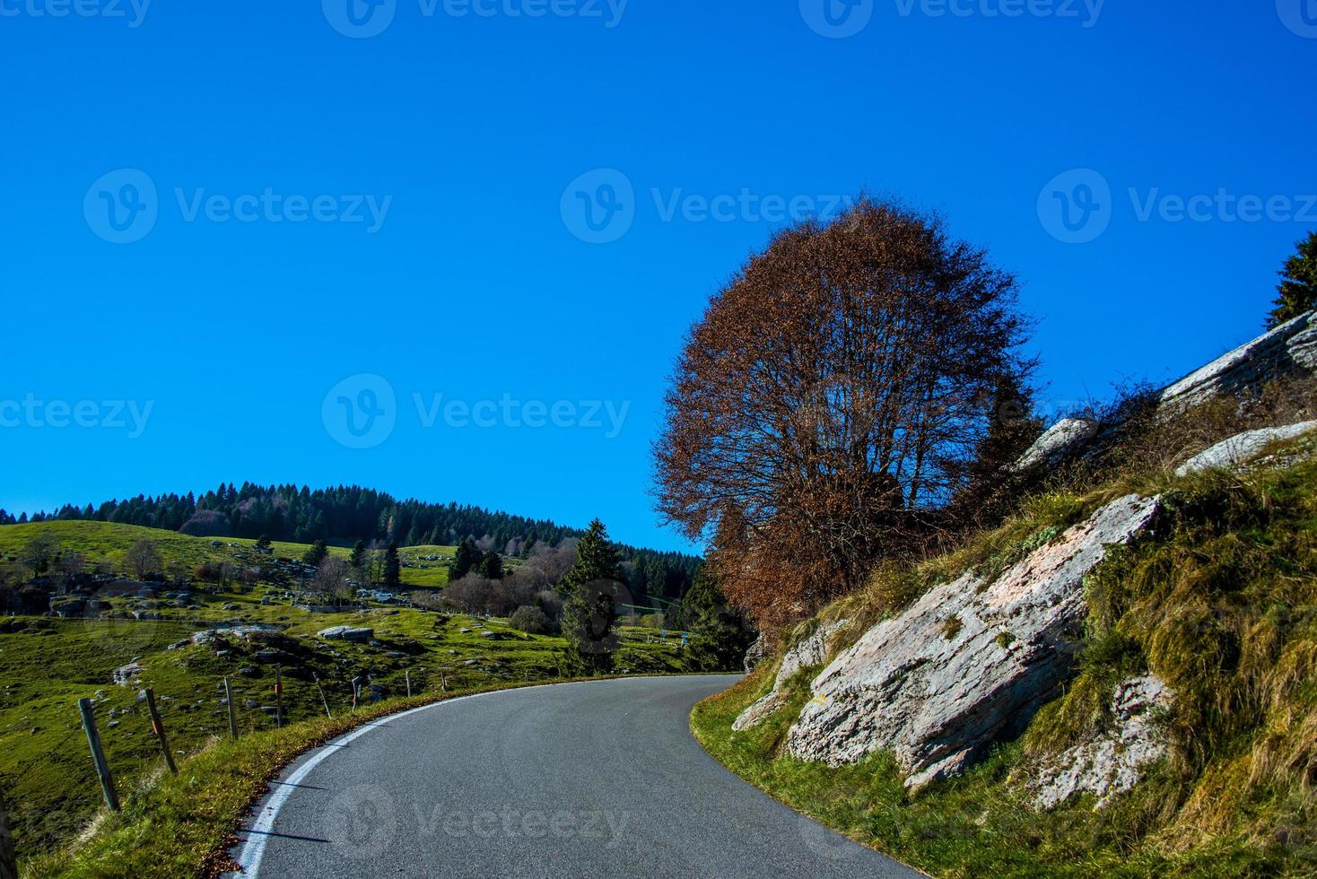 Kurve mit Baum foto