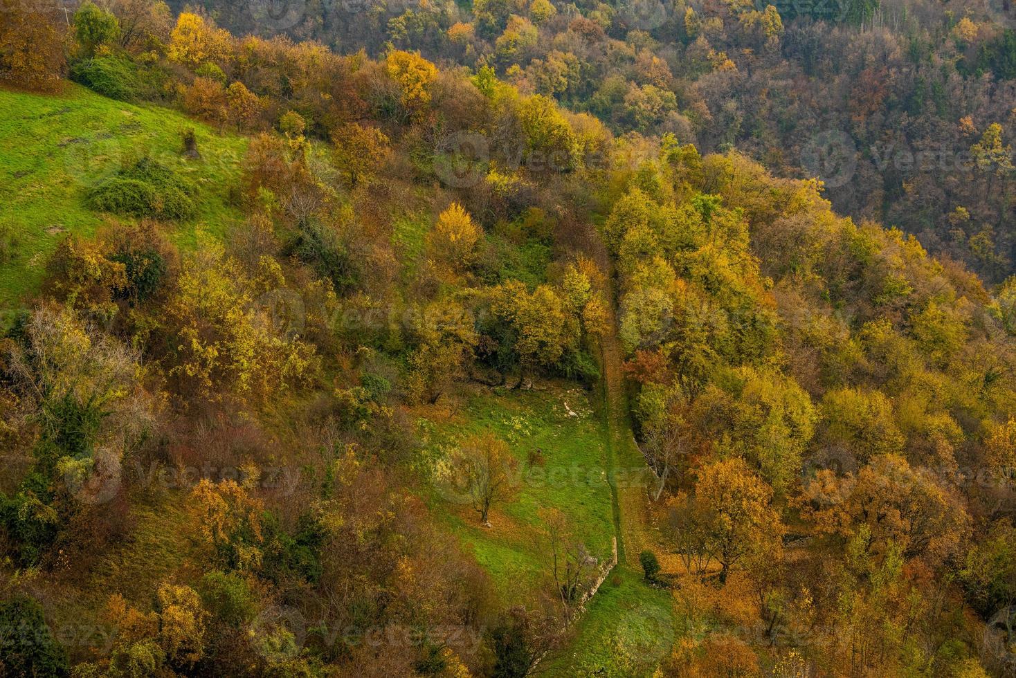 Waldwiesen und Hügel im Herbst foto