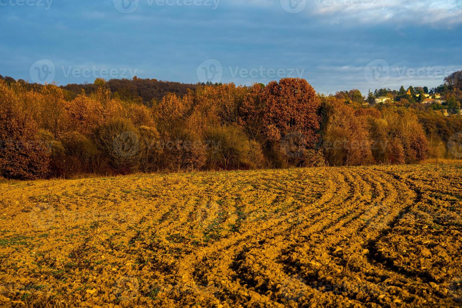 gepflügte Felder und Herbstbäume foto