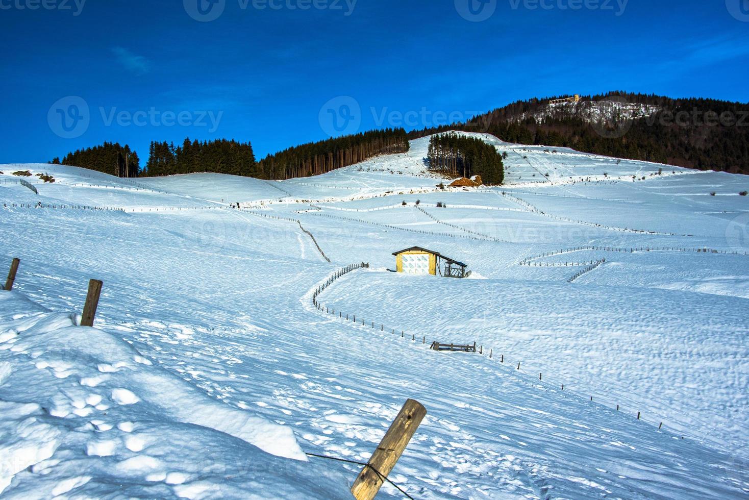 Präsenz auf dem Schnee foto