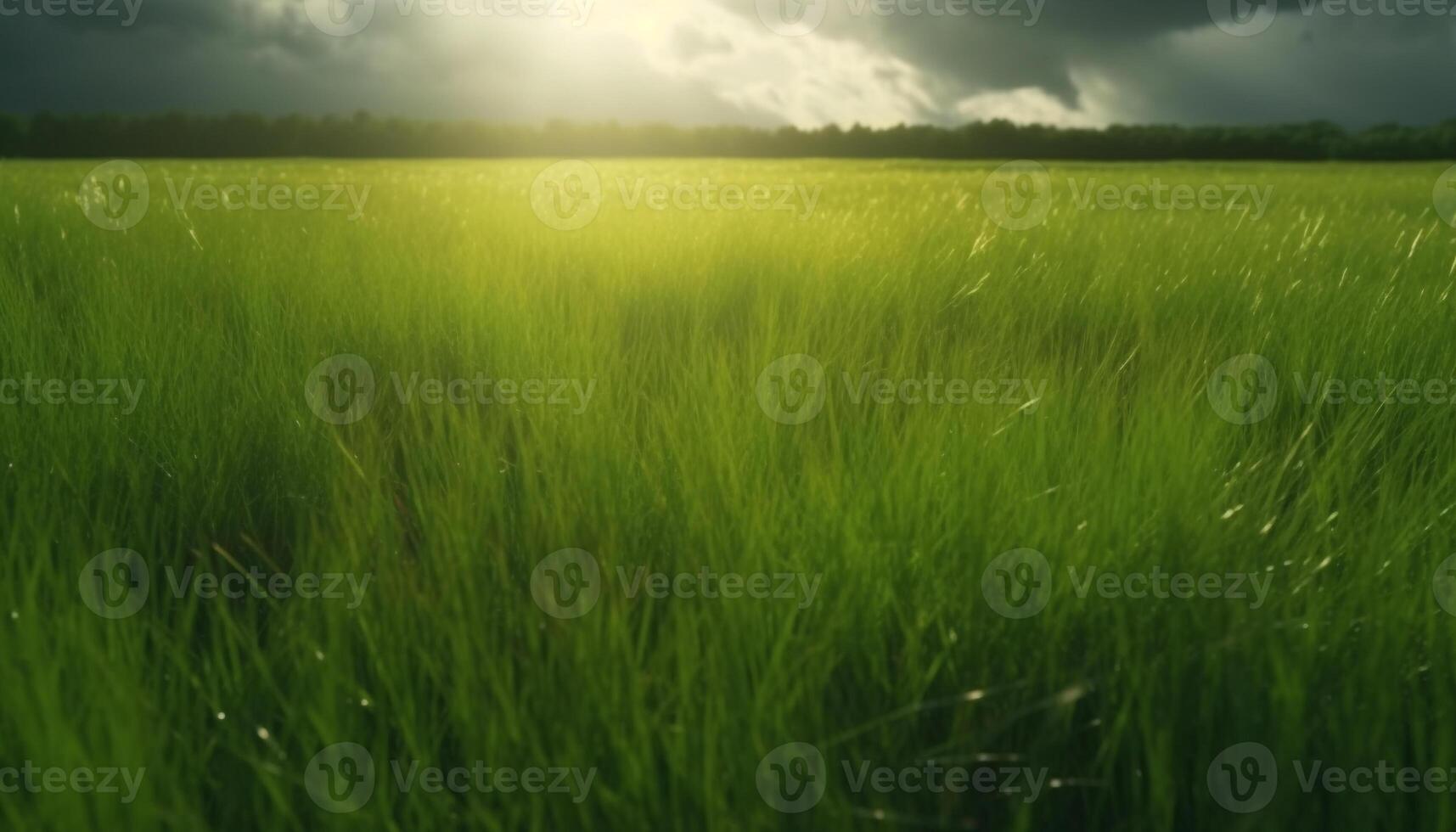 still Wiese im Sommer, Weizen Felder glühen unter Sonnenuntergang Himmel generiert durch ai foto