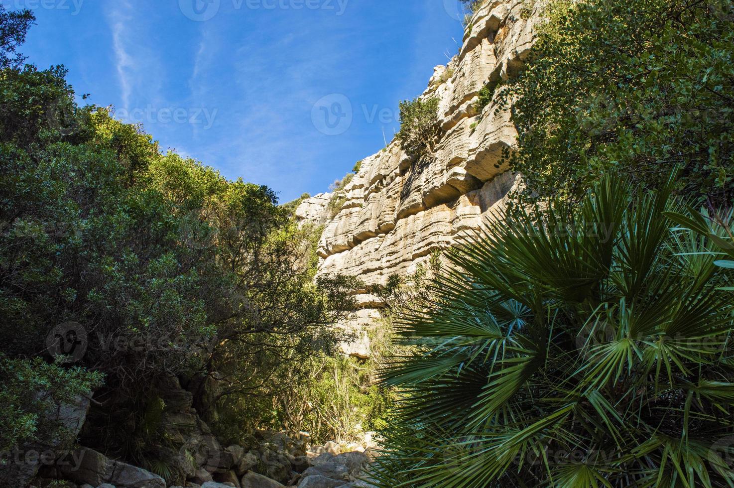 Weg zwischen den hohen Felsen foto