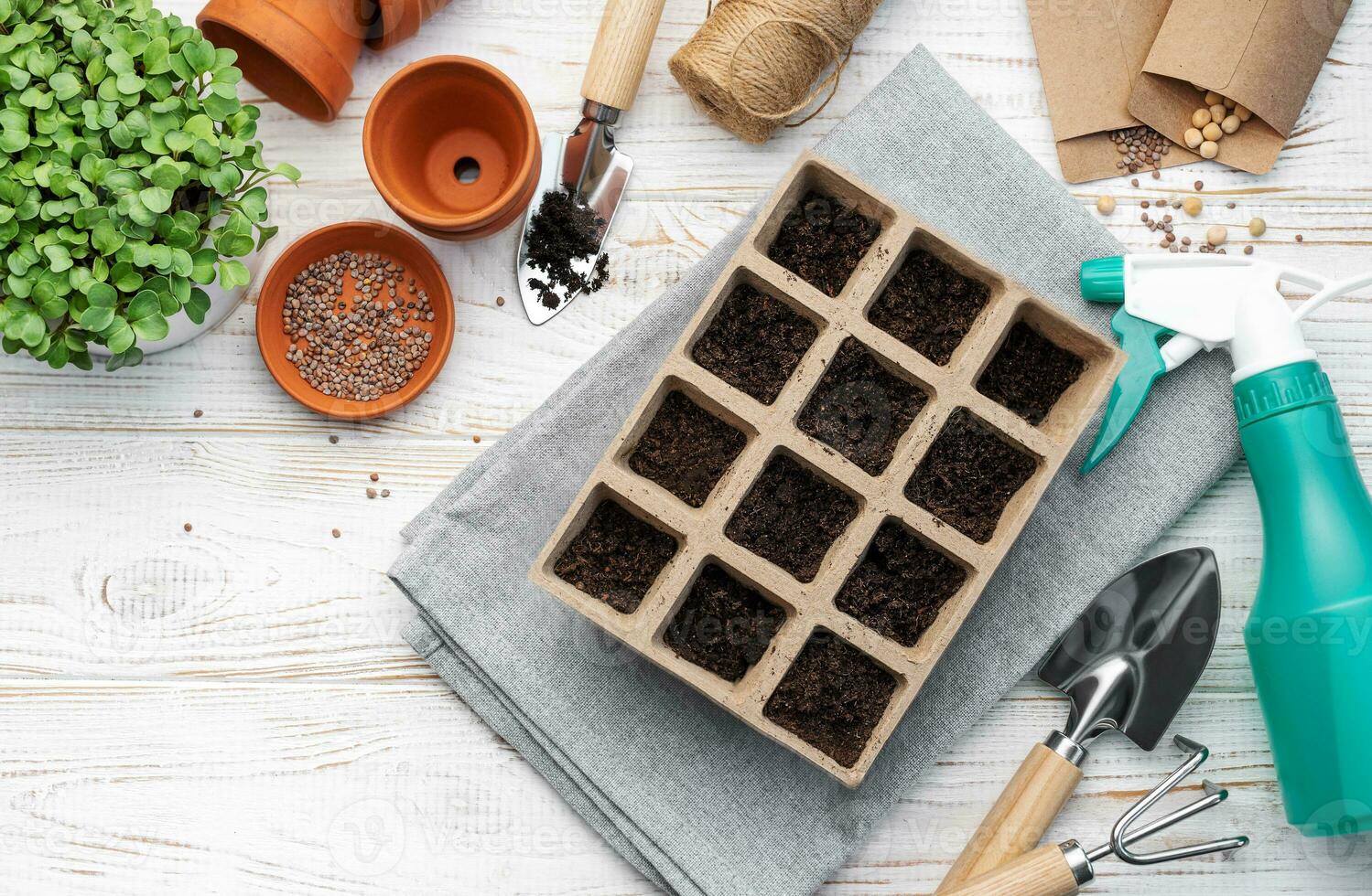 Gartenarbeit Konzept, Pflanzen beim Zuhause foto