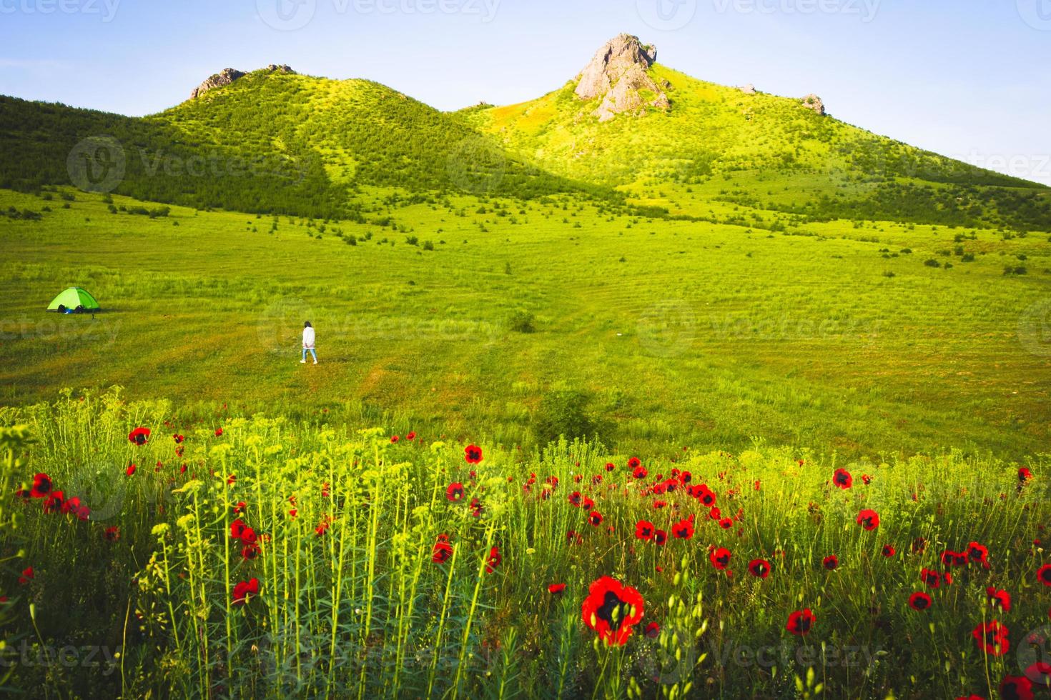 Mädchen in der Natur genießt die Natur foto