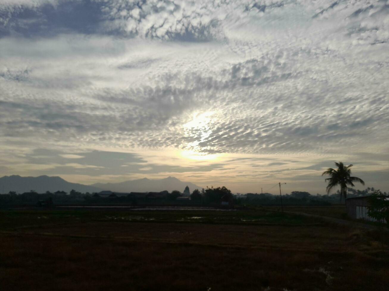 schön Aussicht von das Himmel auf das Reis Paddy Feld während Sonnenaufgang im Lombok Insel, Indonesien. Natur Komposition foto