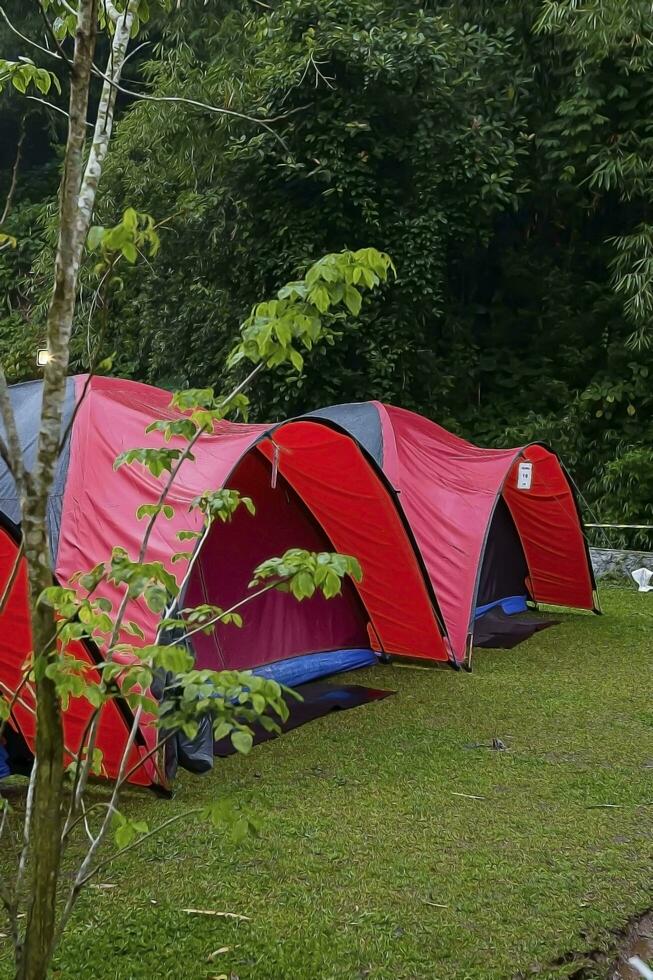 Reihen von Zelte sind gebaut zum Schlafen wann Tragen aus Ferien mit Familie. foto