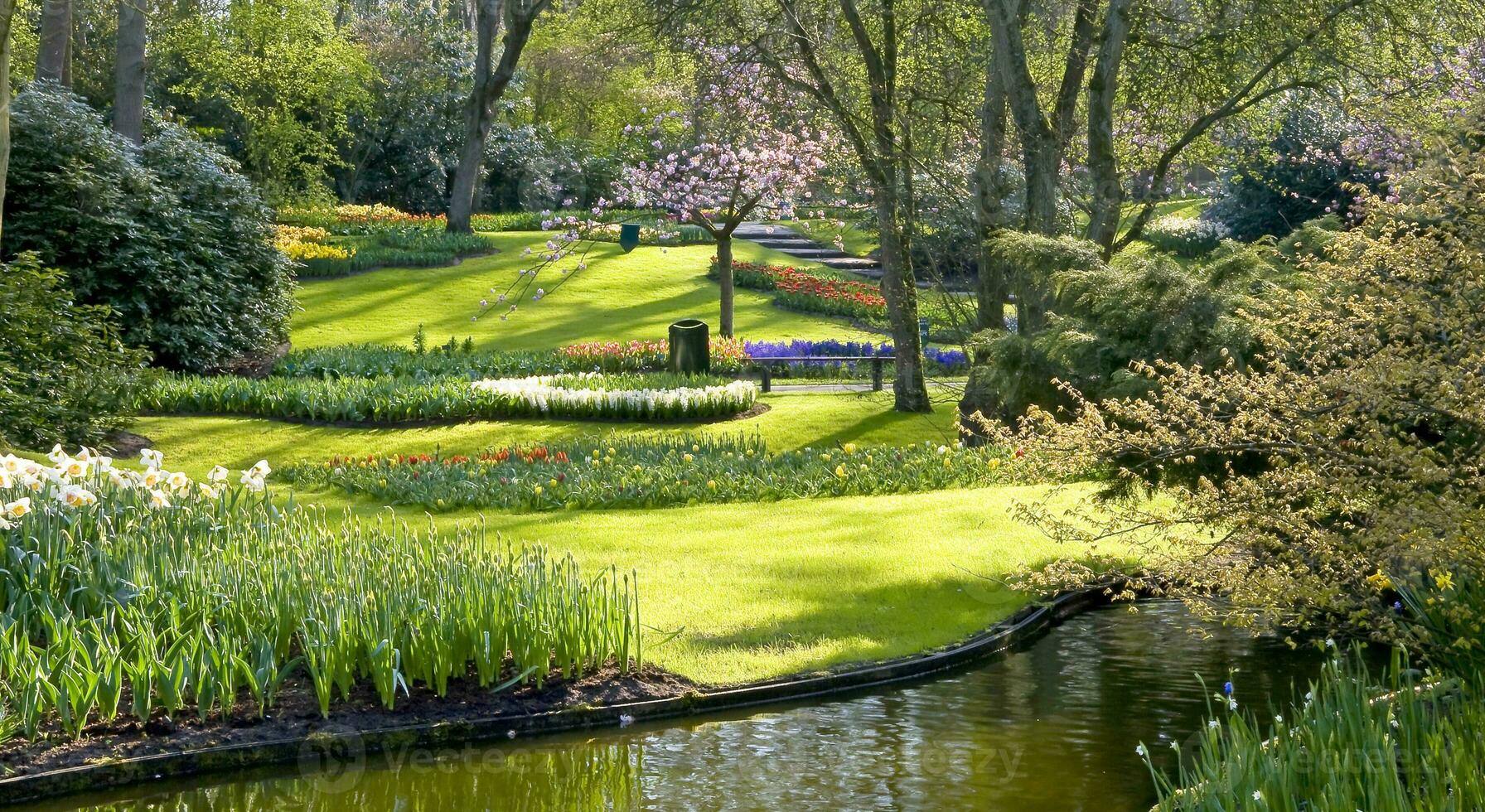 Niederlande bunt Landschaft und Blumen foto