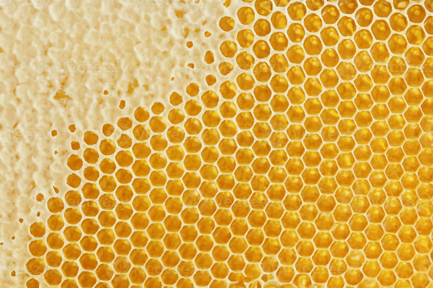 Waben mit Süss golden Honig auf ganze Hintergrund, schließen hoch. Hintergrund Textur, Muster von Sektion von Wachs Bienenwabe foto