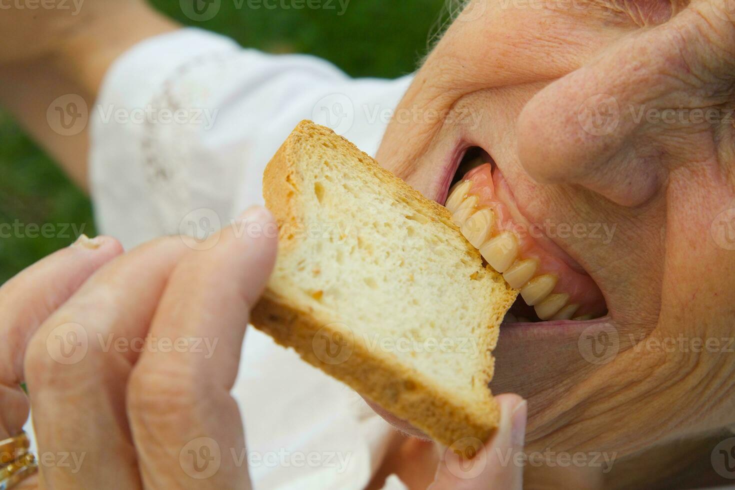 ein alt Frau beißen ein Toast foto