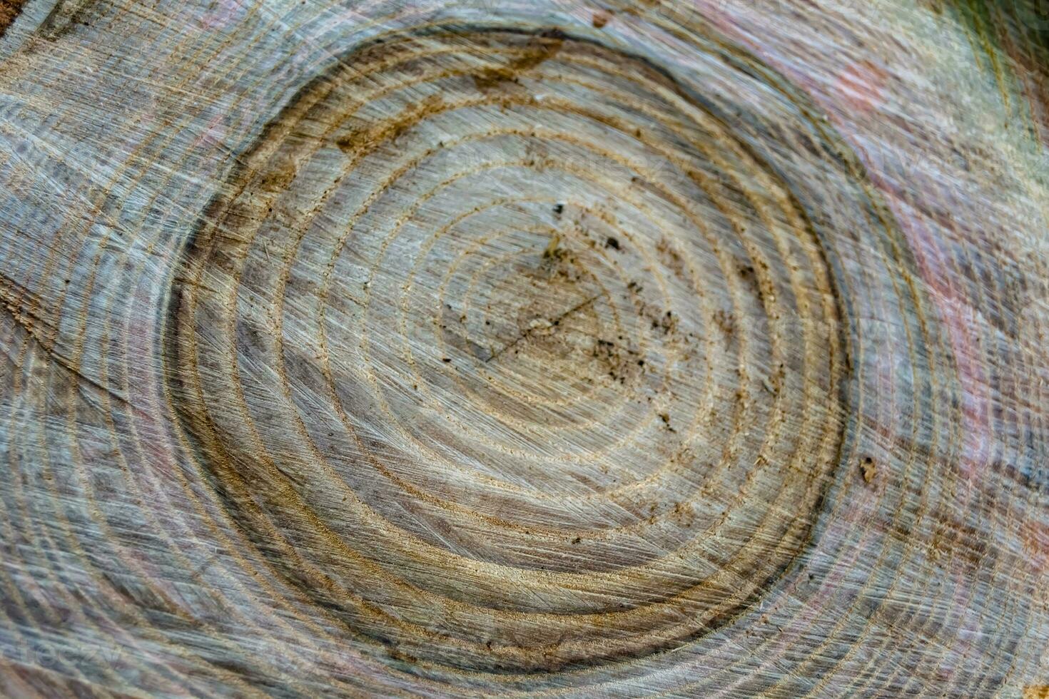schöne Holzbruch alte Eiche, natürliche Textur aus nächster Nähe foto