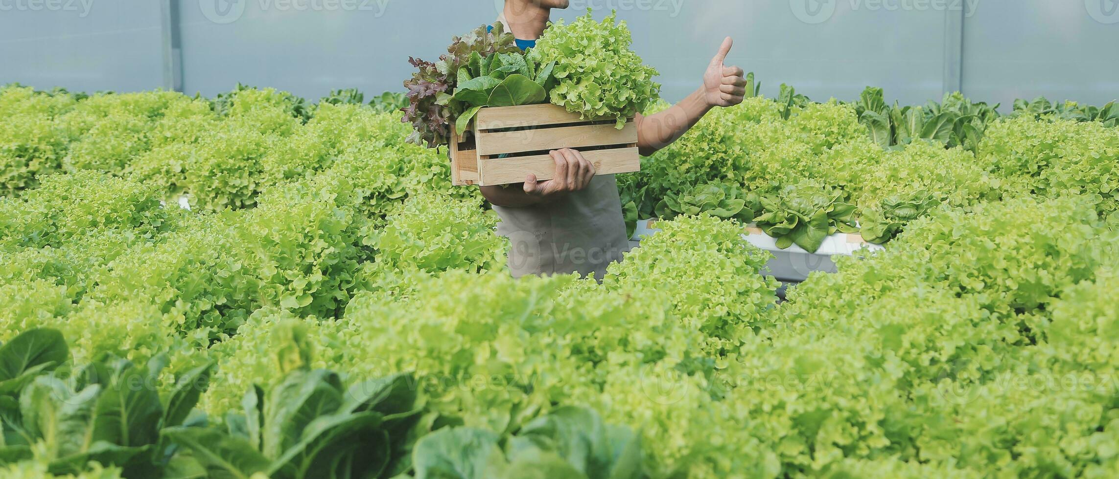 Aussicht von ein attraktiv Farmer im ein Gewächshaus mit Tablette foto